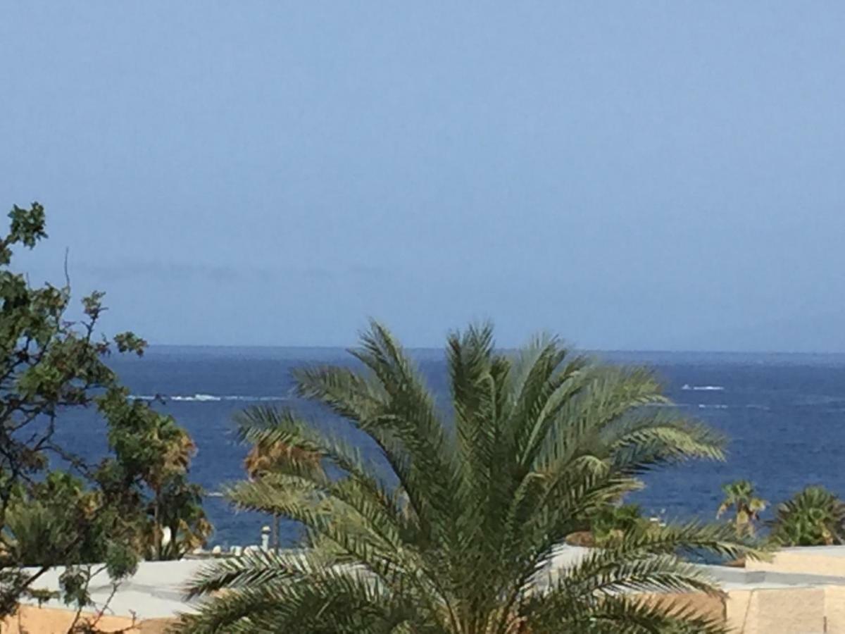 Olympia Apartment Playa de las Americas (Tenerife)